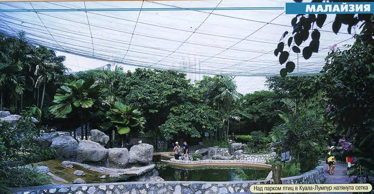 Парк птиц в Куала-Лумпур и ферма насекомых на острове Пинанг. Малайзия.
