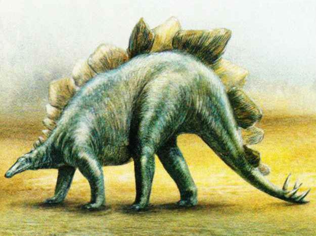 Стегозавр обитал на территории современных штатов Колорадо, Оклахома, Юта и Вайоминг (США).