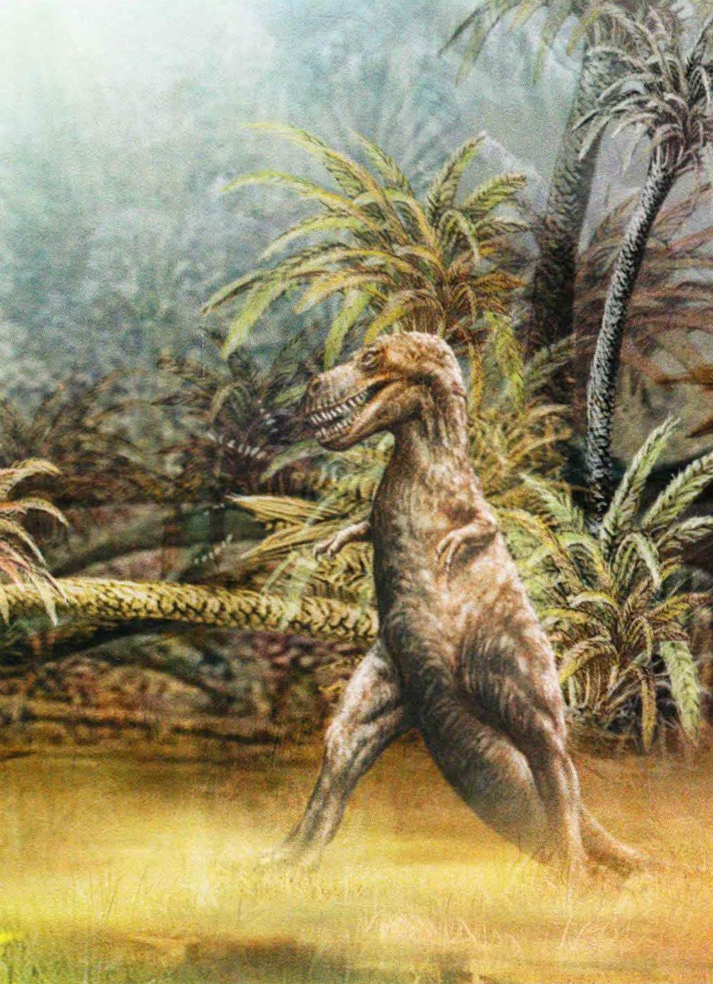 Тираннозавр, по-видимому, жил в местах с редким древостоем и на опушках лесов.