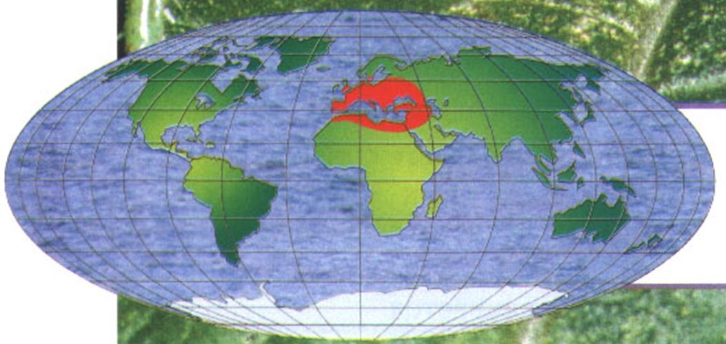 Ареал обитания зелёного кузнечика - Европа, Северная Африка и Ближний Восток.