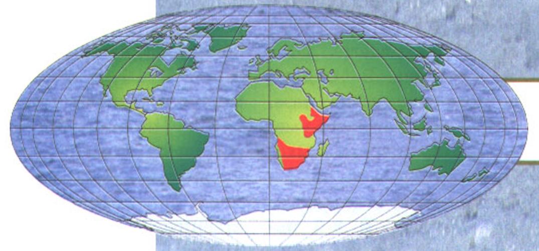 Ареал обитания чепрачного шакала - распространён в Южной и Восточной Африке.