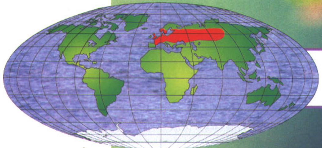 Ареал обитания майского жука - распространён в Европе и Азии.