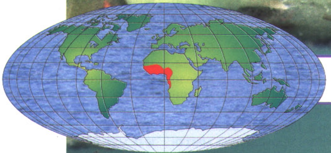 Ареал обитания мухи цеце - распространена в Центральной и Западной Африке.