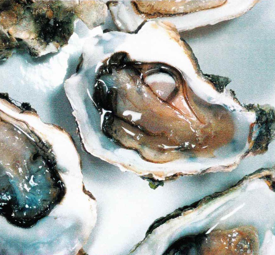 Французы ежегодно съедают свыше миллиарда устриц. Чтобы удовлетворить огромный рыночный спрос на этих съедобных моллюсков у берегов Франции действуют около 30 тысяч устричных ферм.