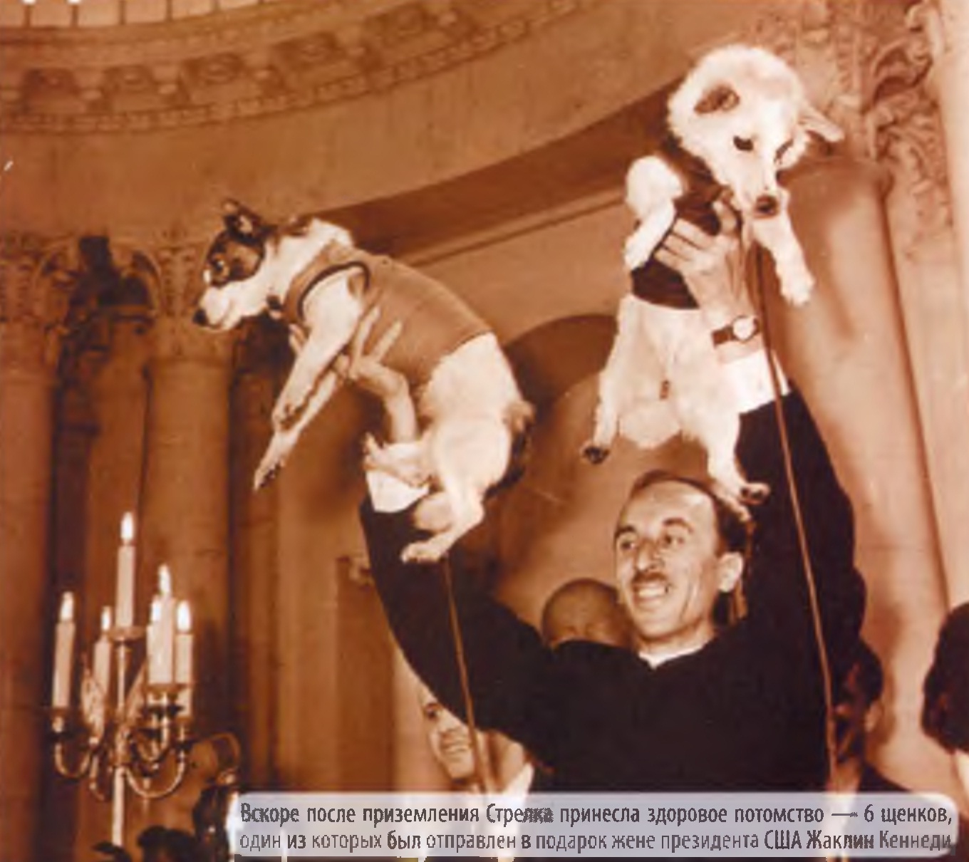 Вскоре после приземления Стрелка принесла здоровое потомство — 6 щенков, один из которых был отправлен в подарок жене президента США Жаклин Кеннеди.