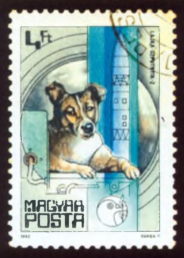 Почтовая марка с собакой в космосе.