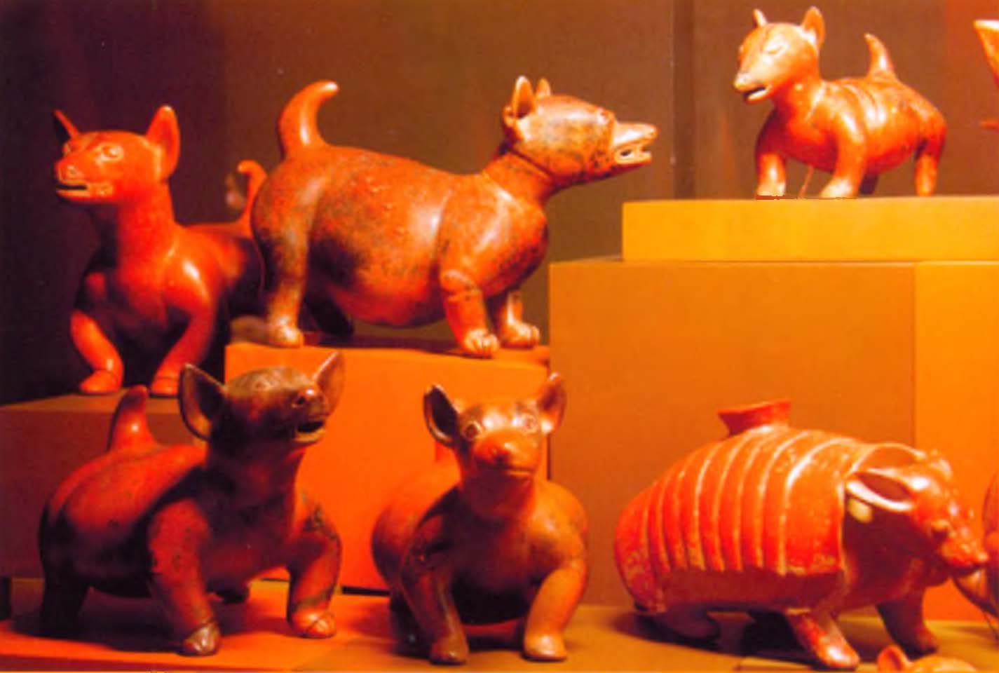 Фигурки собачек в музее Ранхеля Идальго.