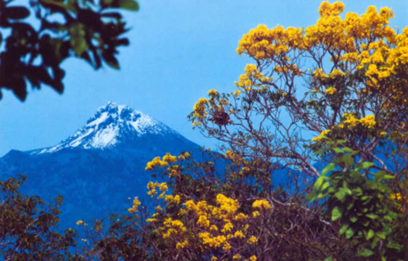 Вид на потухший вулкан Невадо де Колима с примузейной площади.