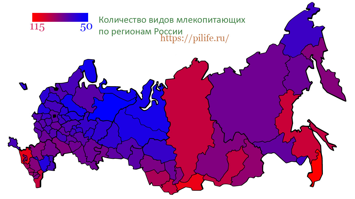 Сколько всего видов млекопитающих в России?