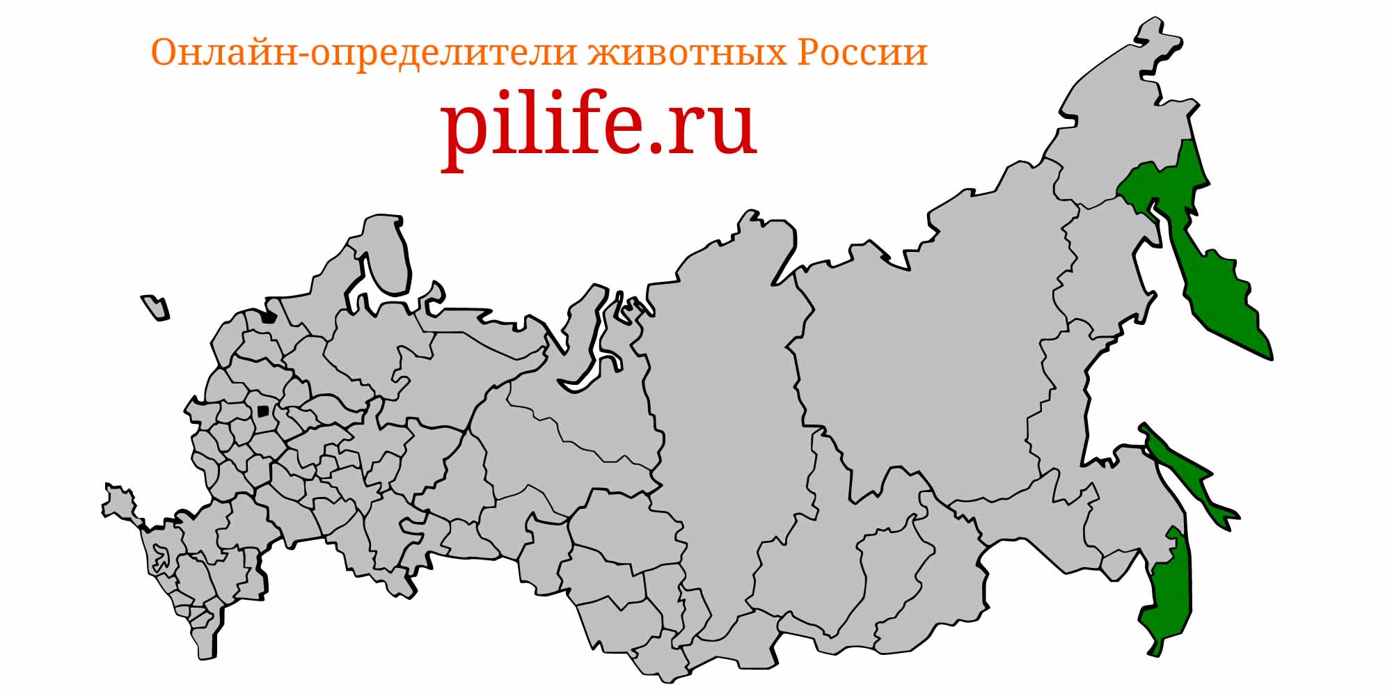 Ареал обитания Acipenser medirostris на карте России