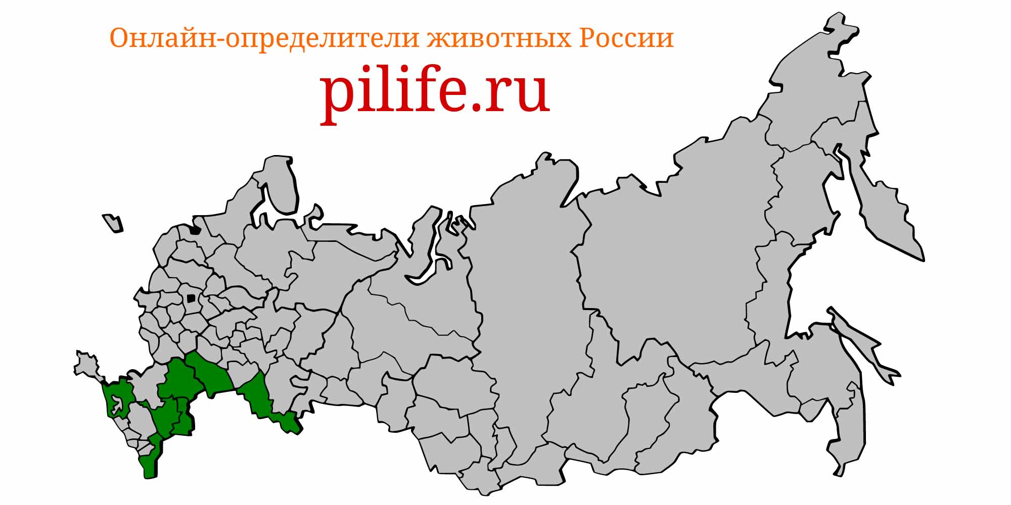 Ареал обитания acipenser nudiventris на карте России