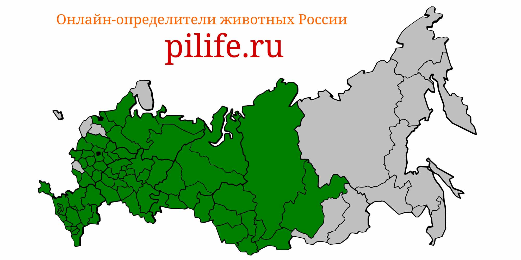 Ареал обитания acipenser ruthenus на карте России
