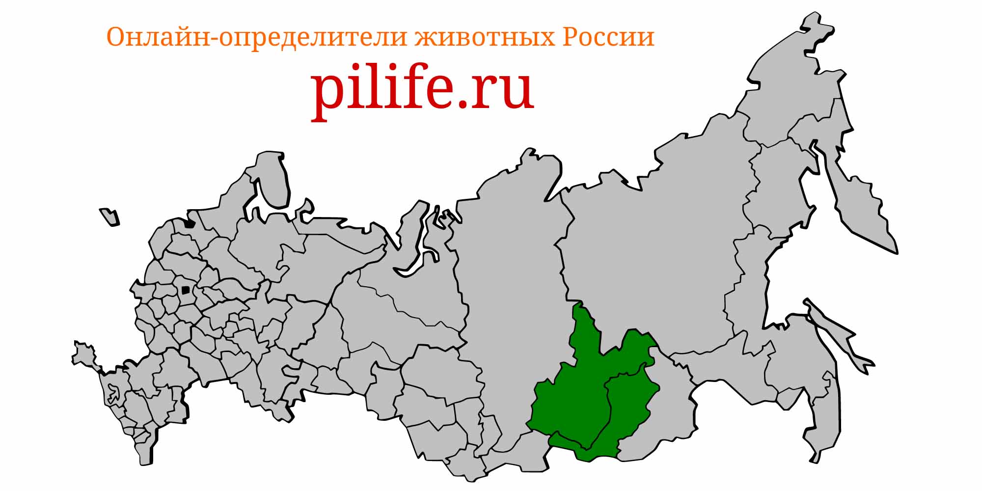 Ареал обитания Asprocottus parmiferus на карте России
