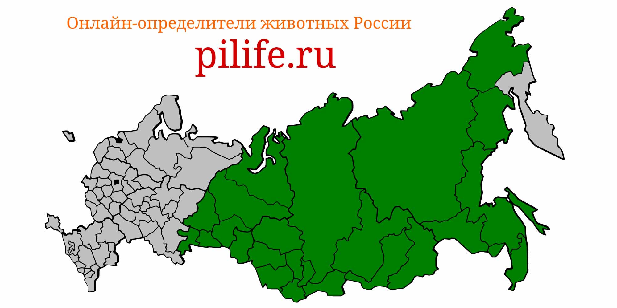 Ареал обитания Barbatula toni на карте России