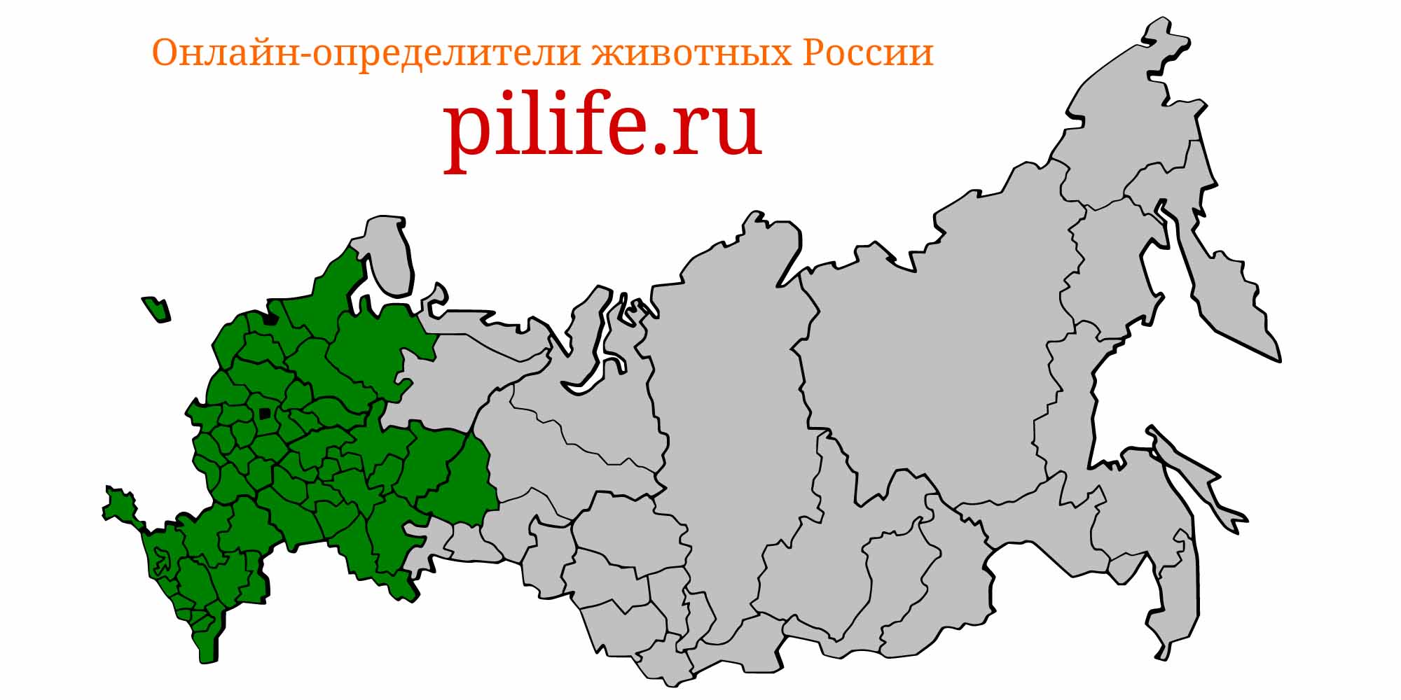 Ареал обитания blicca bjoerkna на карте России