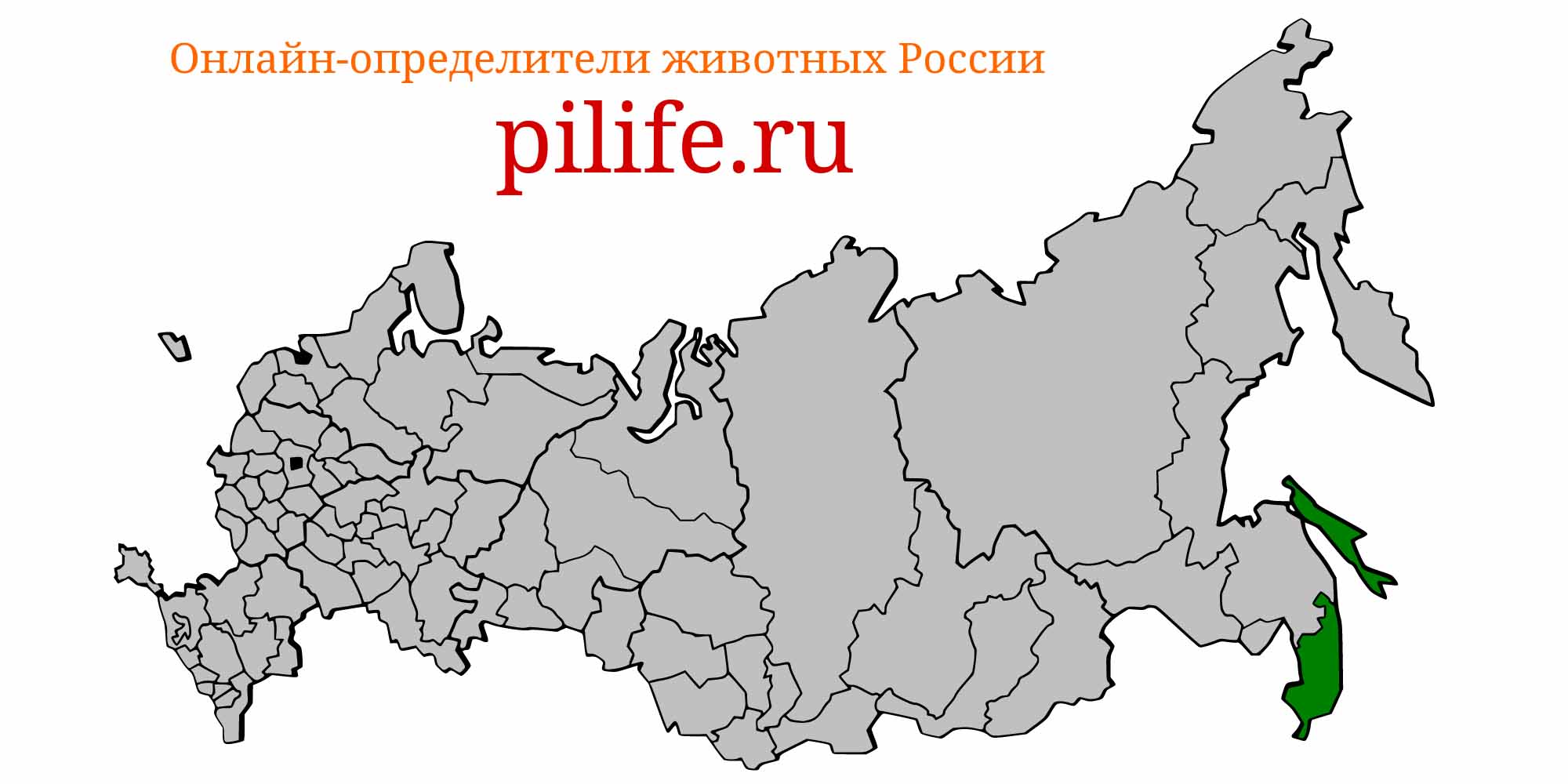 Ареал обитания Chaenogobius castaneus на карте России
