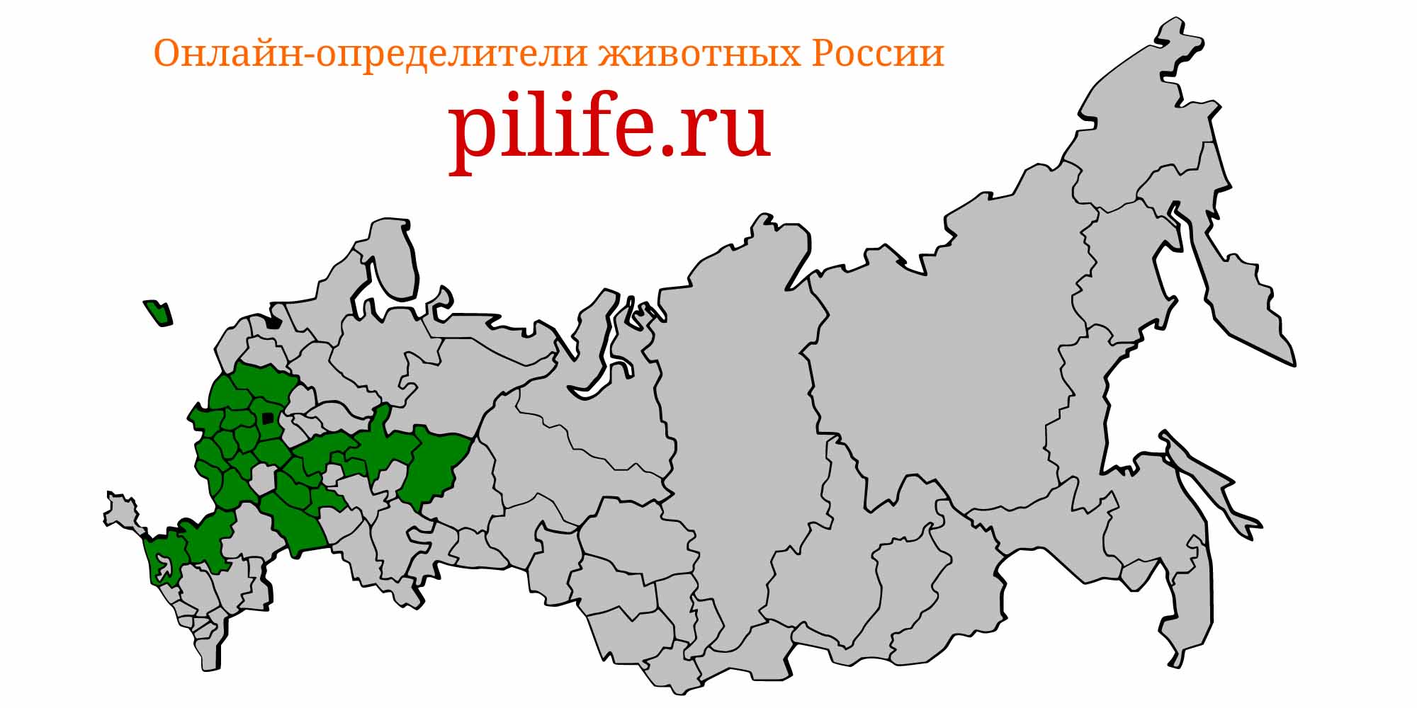 Ареал обитания chondrostoma nasus на карте России