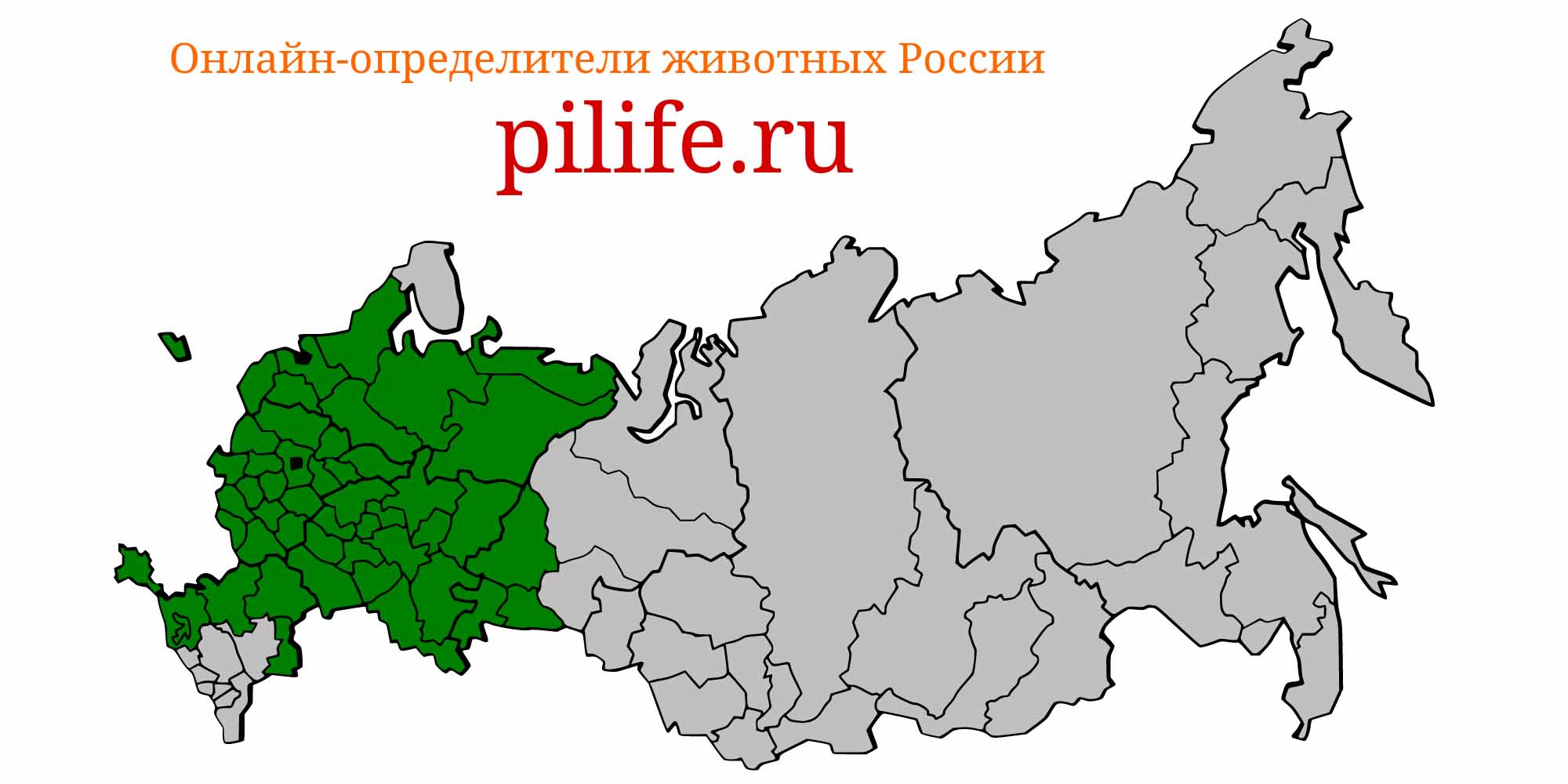 Ареал обитания cobitis taenia на карте России