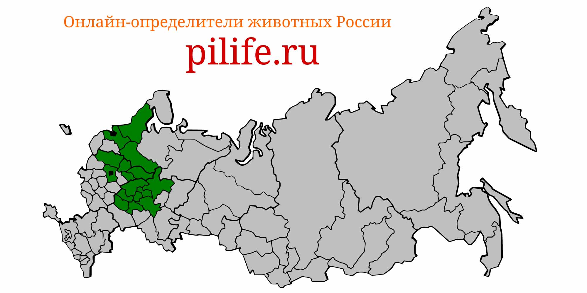 Ареал обитания Cottus koshewnikowi на карте России