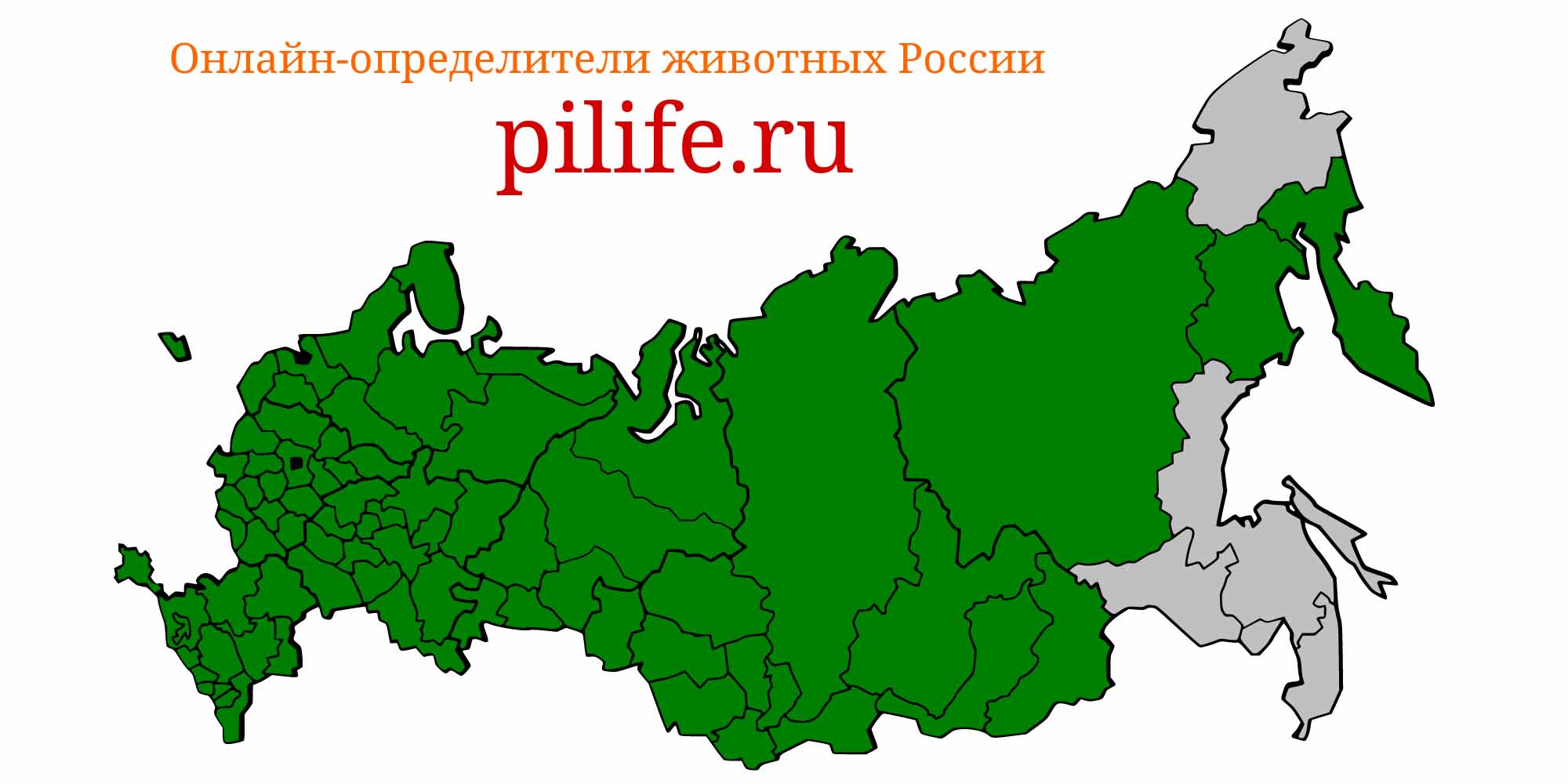 Ареал обитания esox lucius на карте России