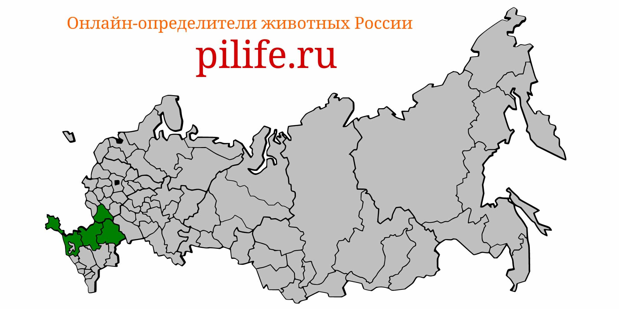 Ареал обитания gymnocephalus acerinus на карте России