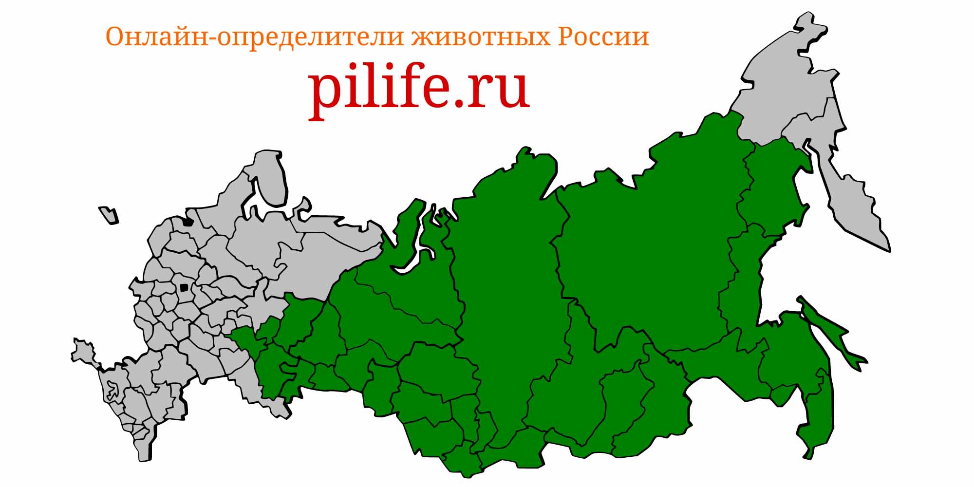 Ареал обитания Hucho taimen на карте России