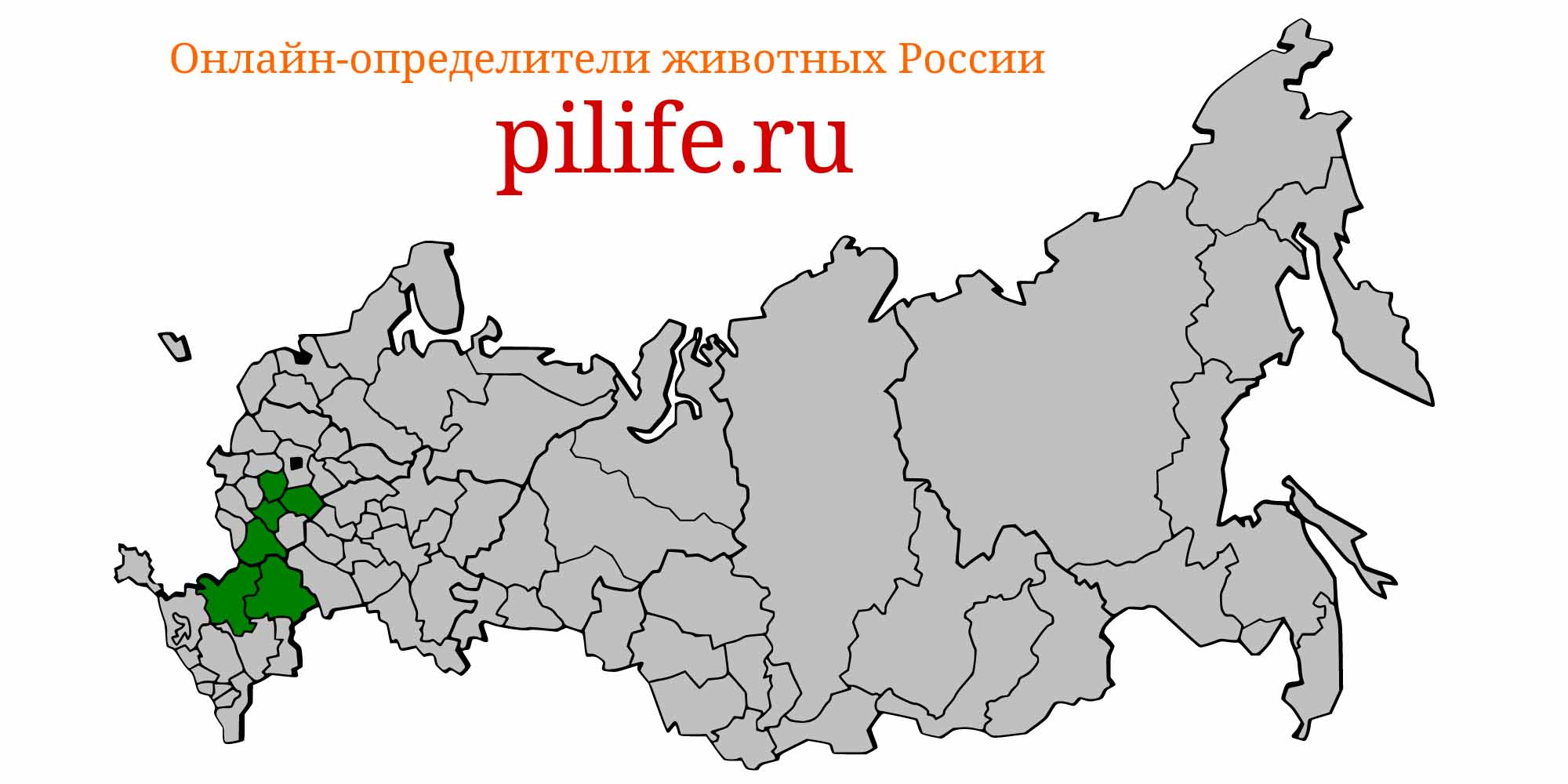 Ареал обитания leuciscus danilewskii на карте России