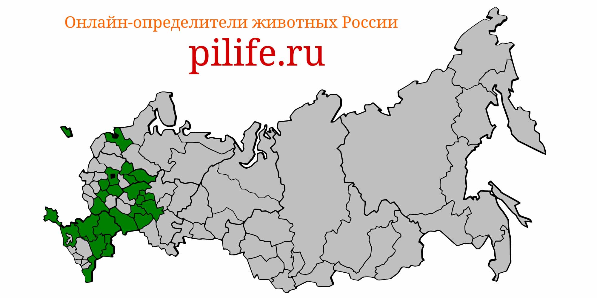 Ареал обитания neogobius melanostomus на карте России