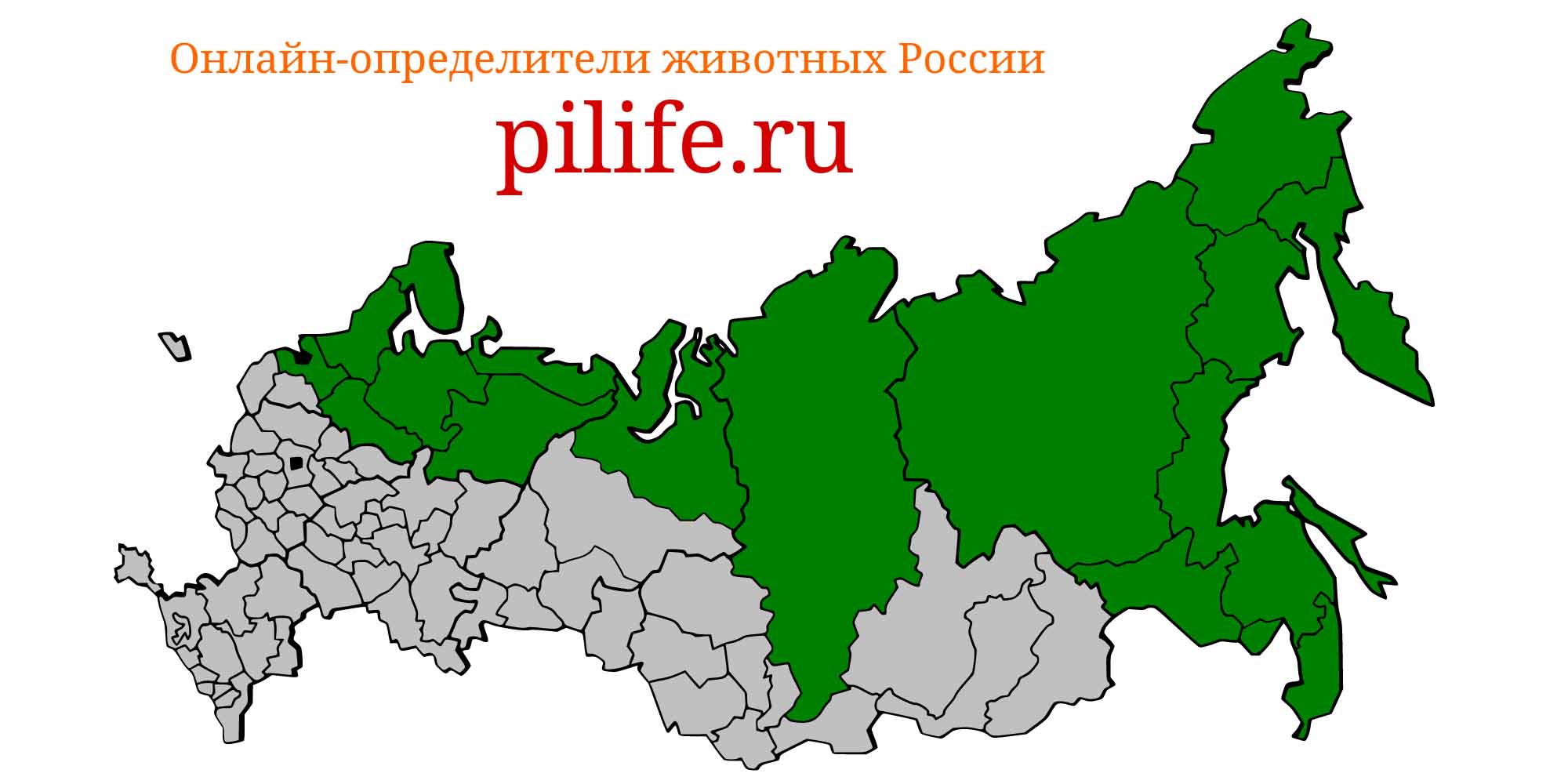 Ареал обитания Oncorhynchus gorbuscha на карте России