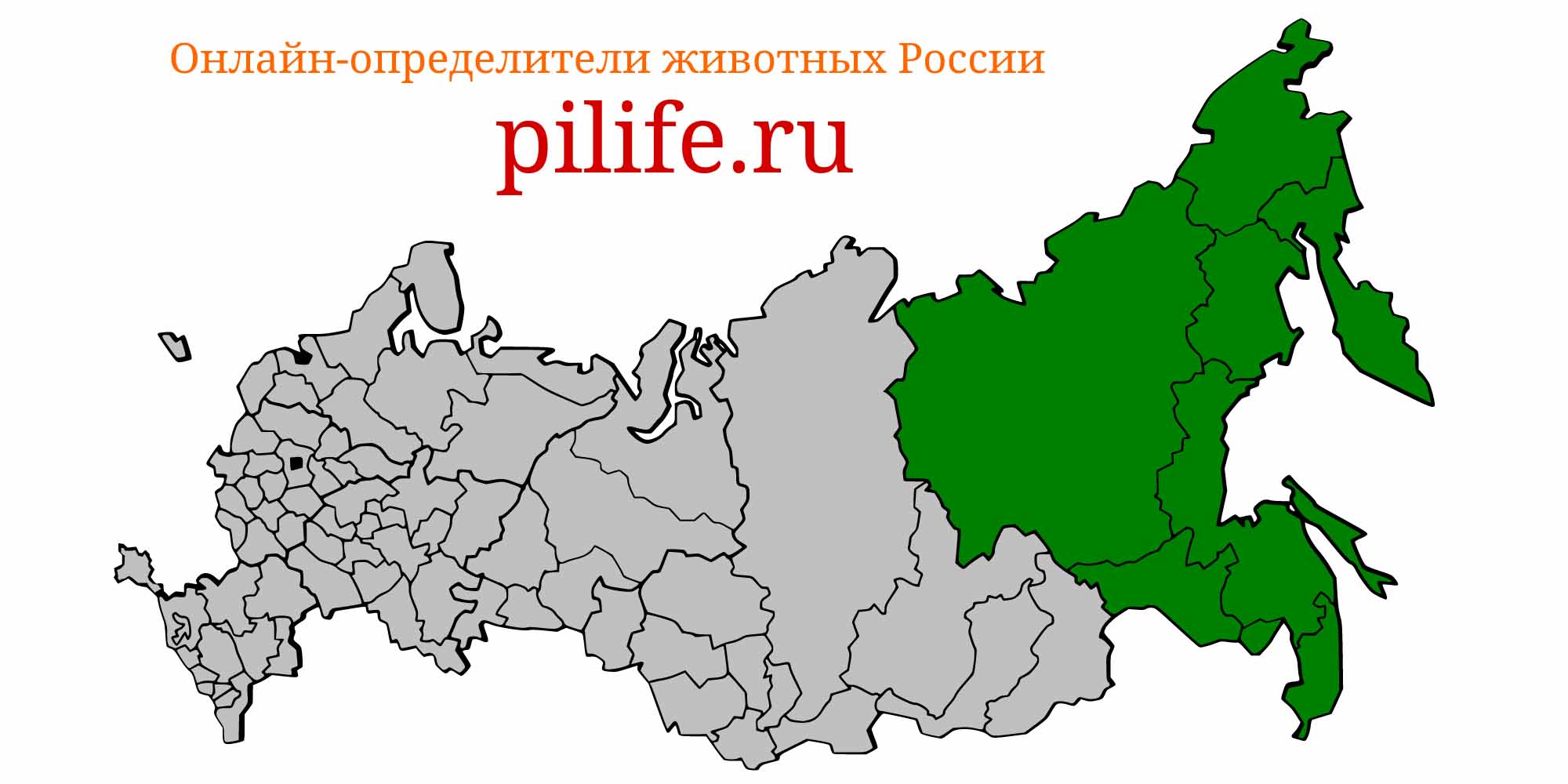 Ареал обитания Oncorhynchus keta на карте России