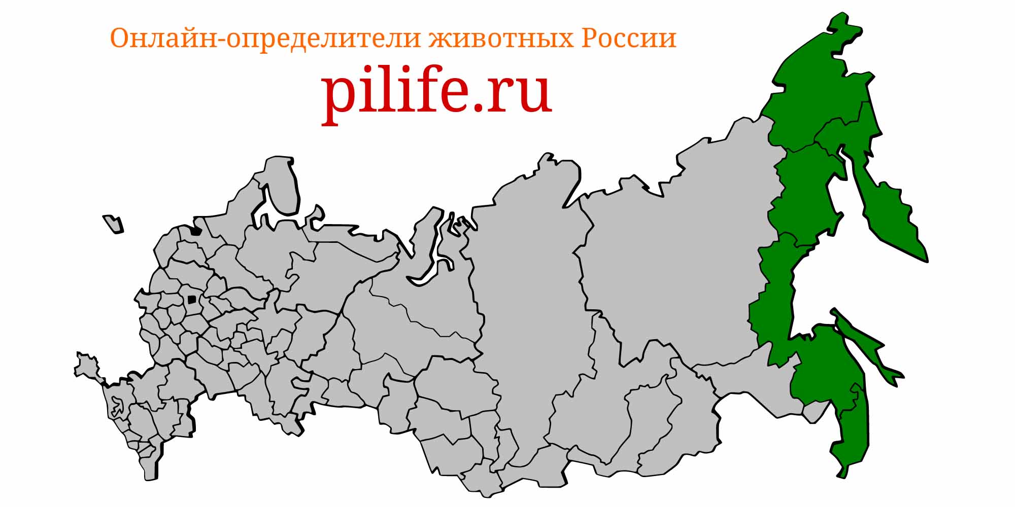 Ареал обитания Oncorhynchus kisutch на карте России