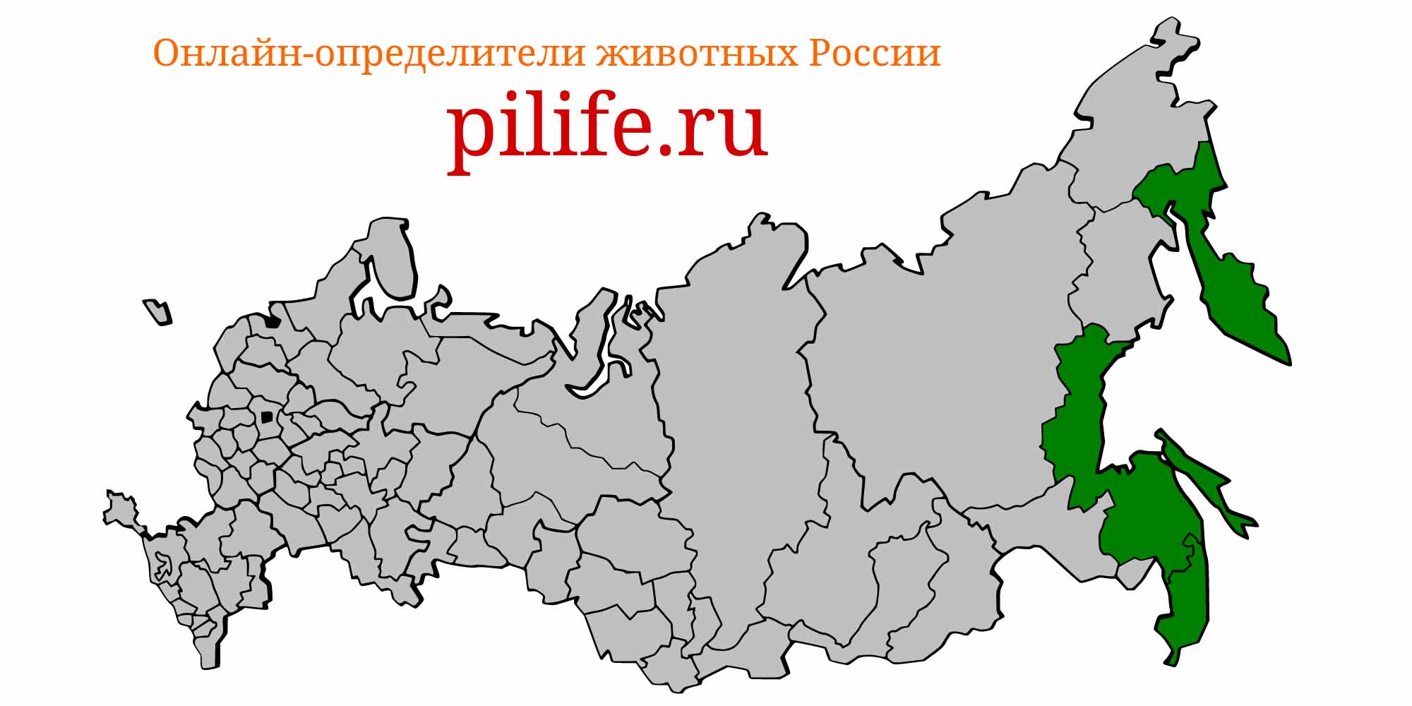 Ареал обитания Oncorhynchus masou на карте России