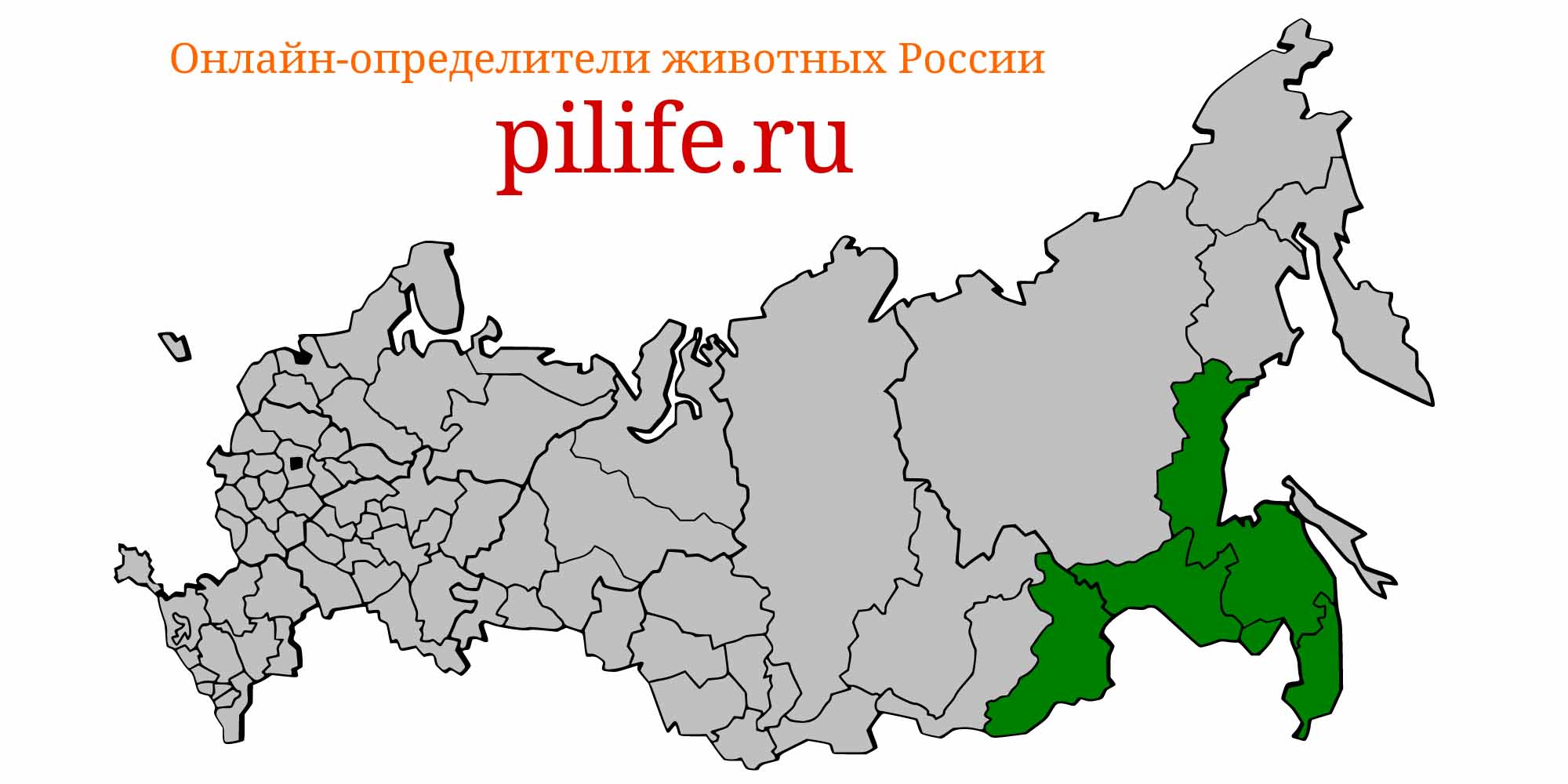 Ареал обитания Opsariichthys uncirostris на карте России