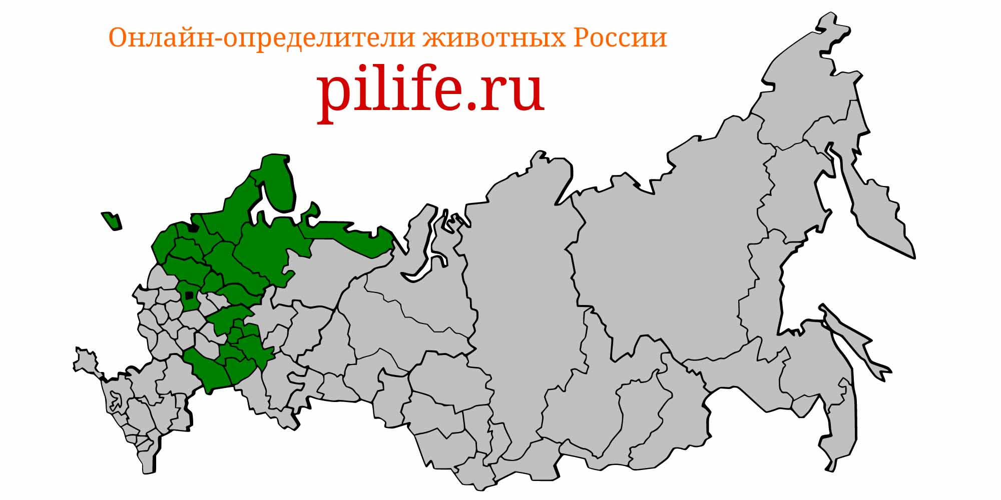 Ареал обитания Osmerus eperlanus на карте России