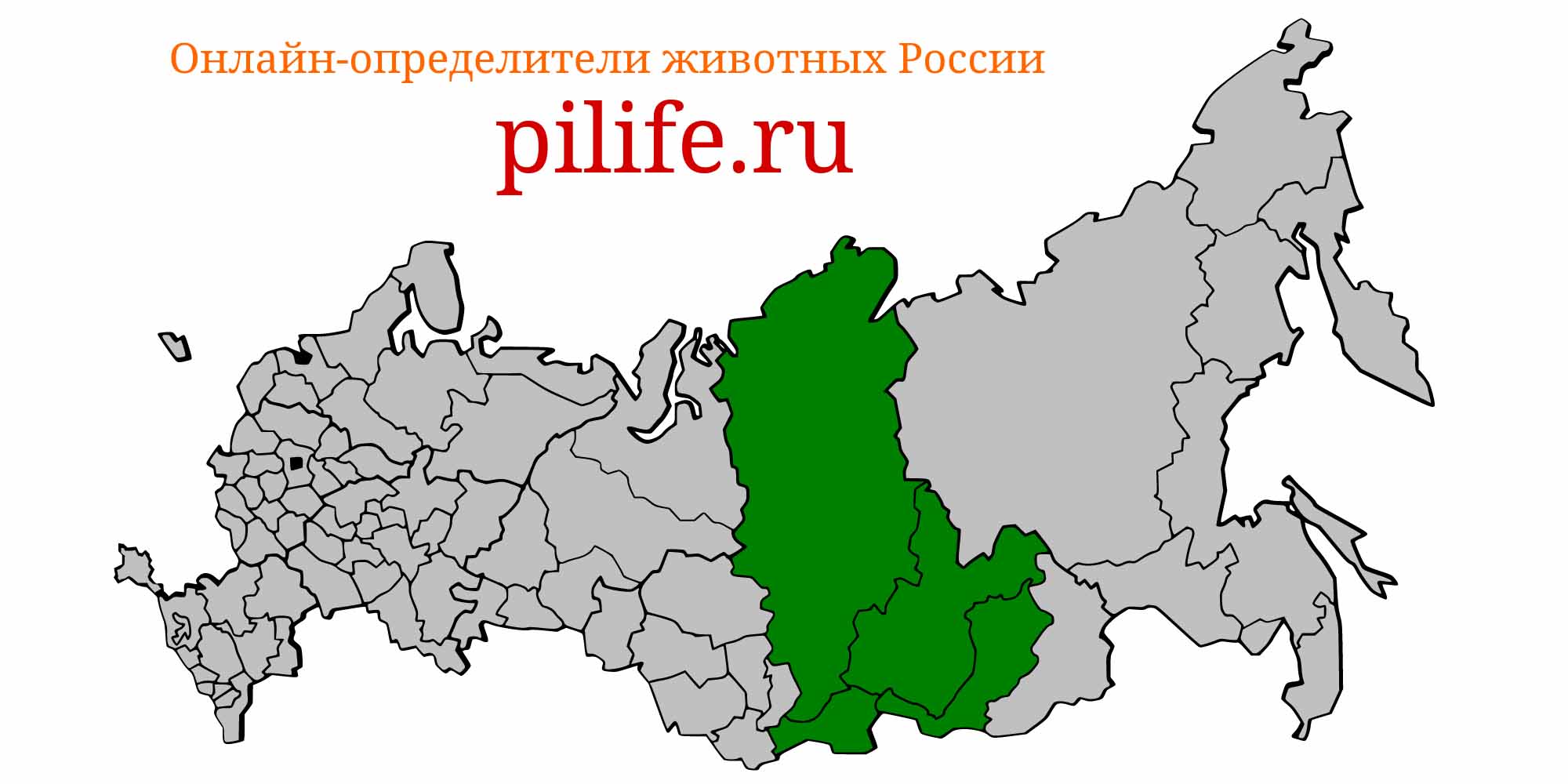 Ареал обитания Paracottus knerii на карте России