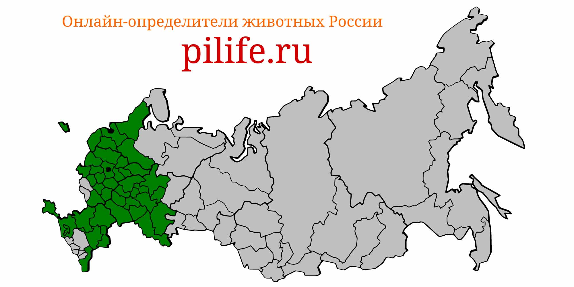Ареал обитания pelecus cultratus на карте России