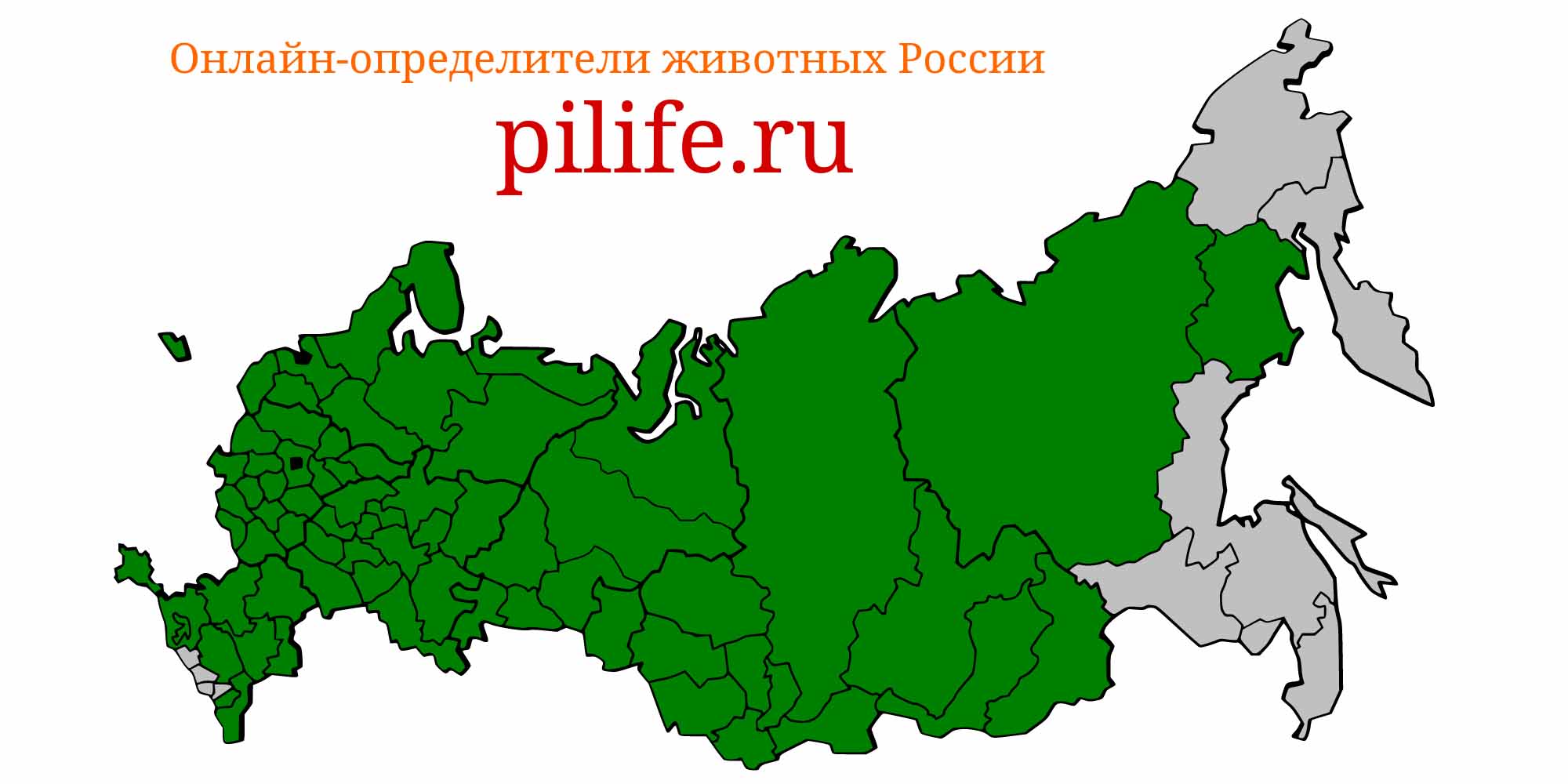 Ареал обитания perca fluviatilis на карте России
