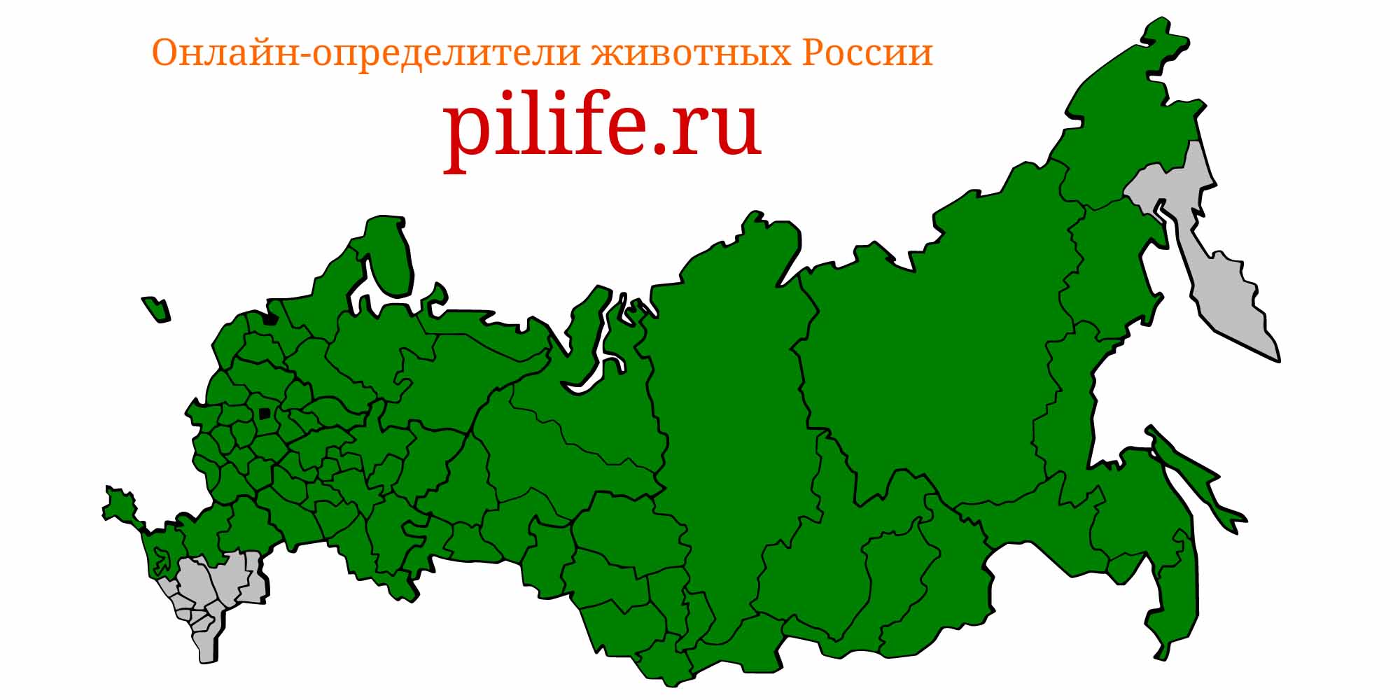 Ареал обитания phoxinus phoxinus на карте России