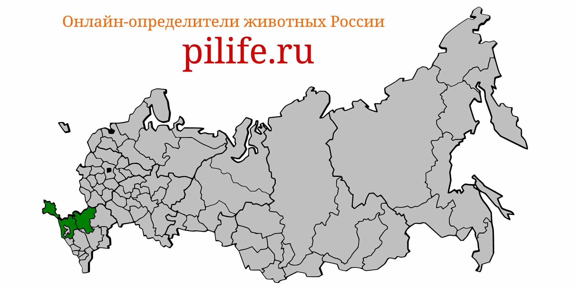 Ареал обитания pomatoschistus marmoratus на карте России