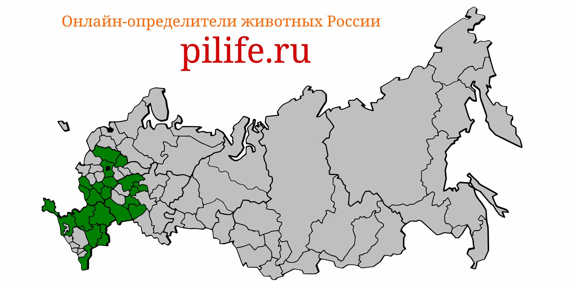 Ареал обитания proterorhinus marmoratus на карте России