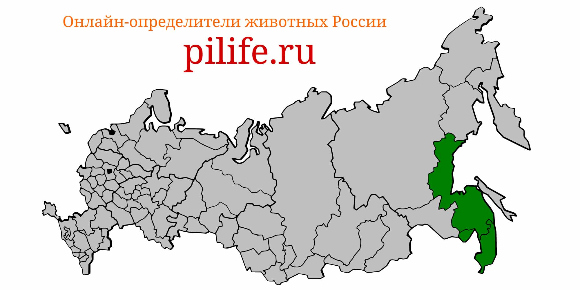 Ареал обитания Rhodeus lighti на карте России