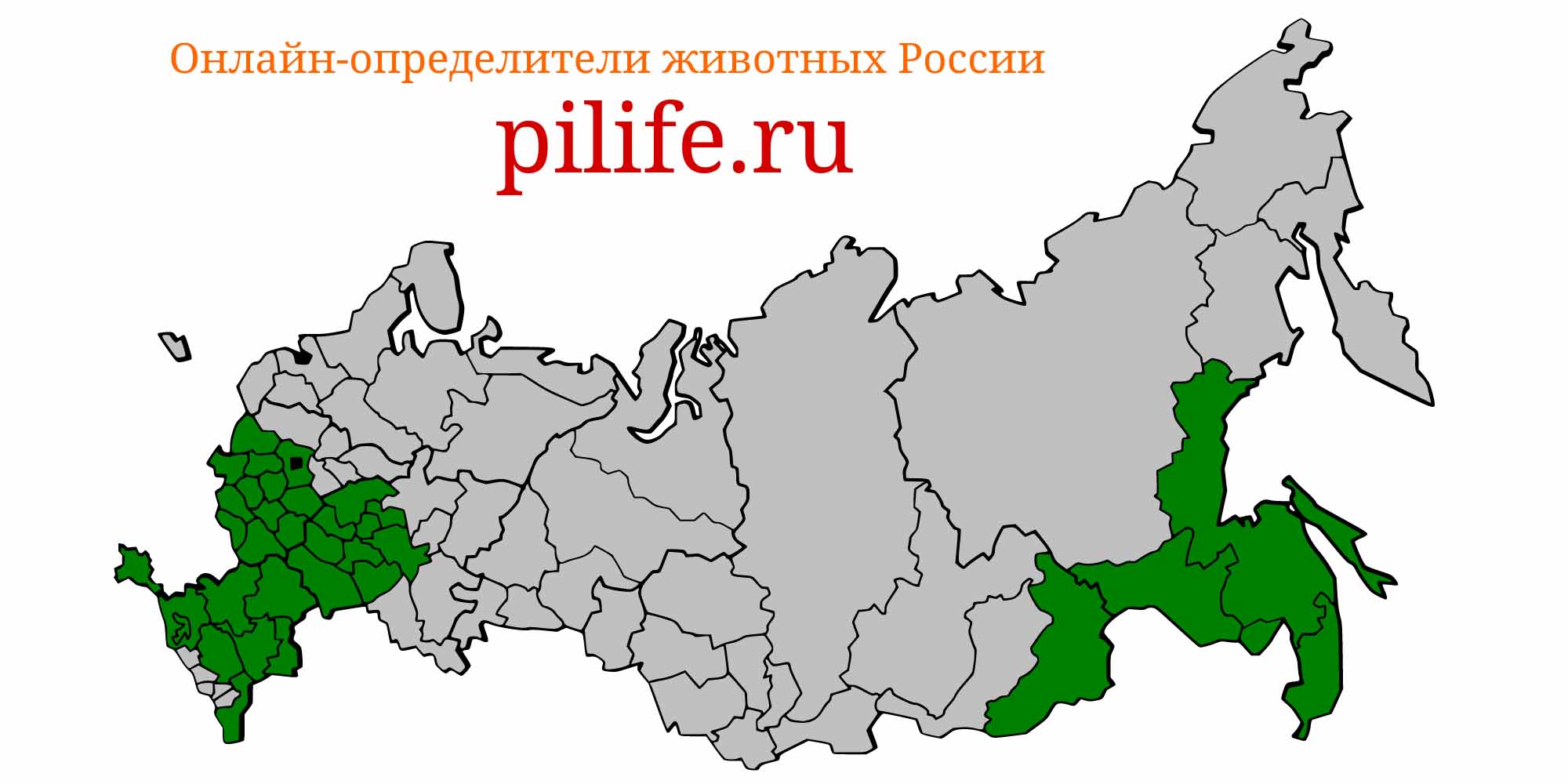 Ареал обитания rhodeus sericeus на карте России
