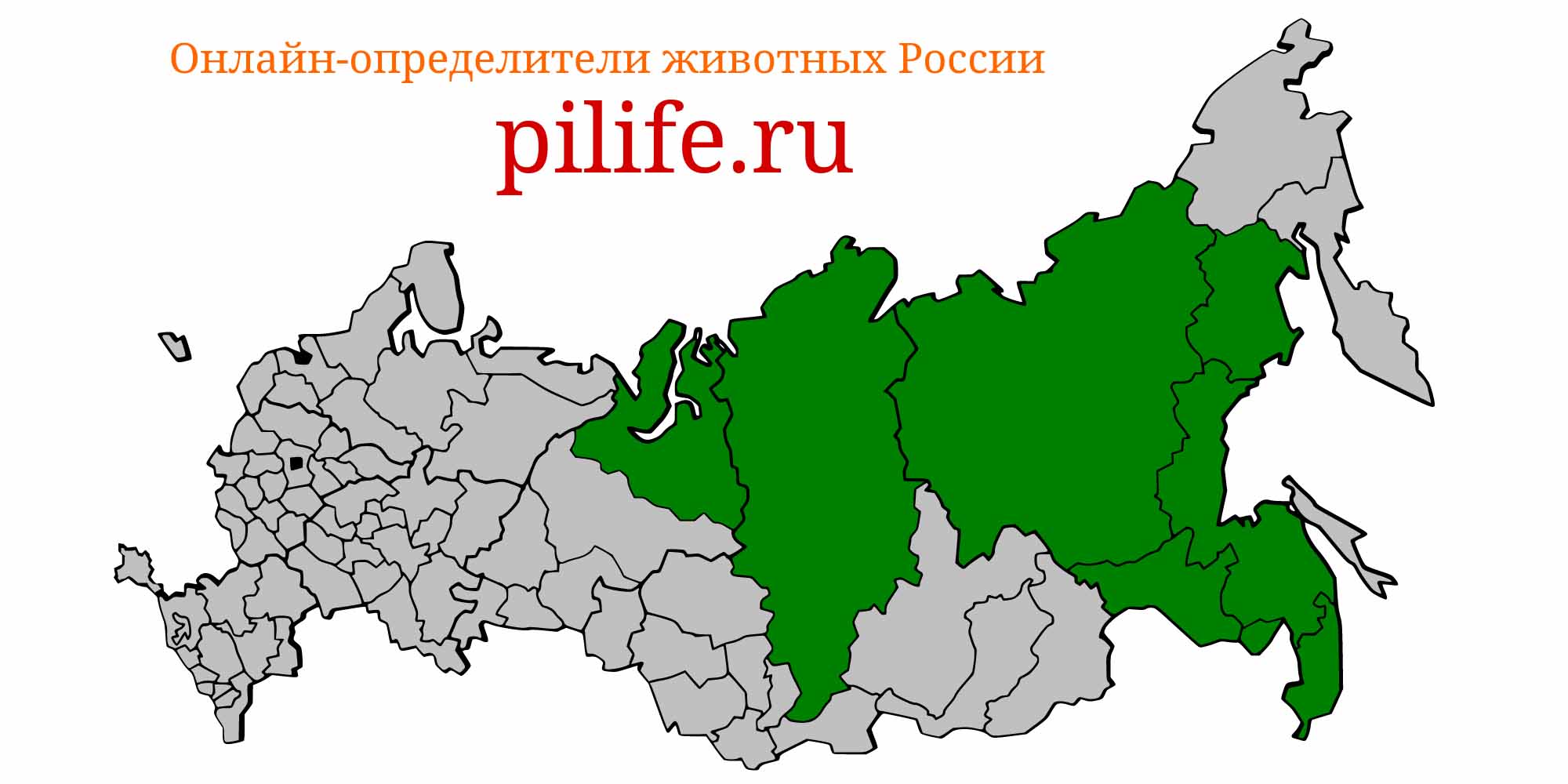 Ареал обитания Rhynchocypris czekanowskii на карте России
