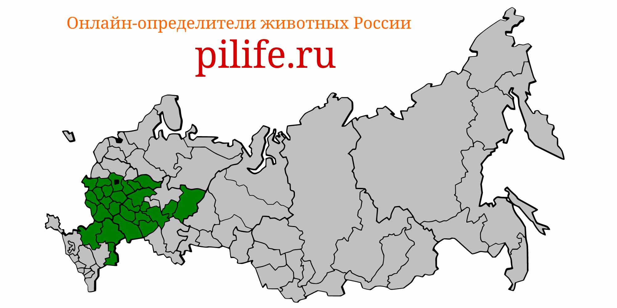 Ареал обитания romanogobio albipinnatus на карте России