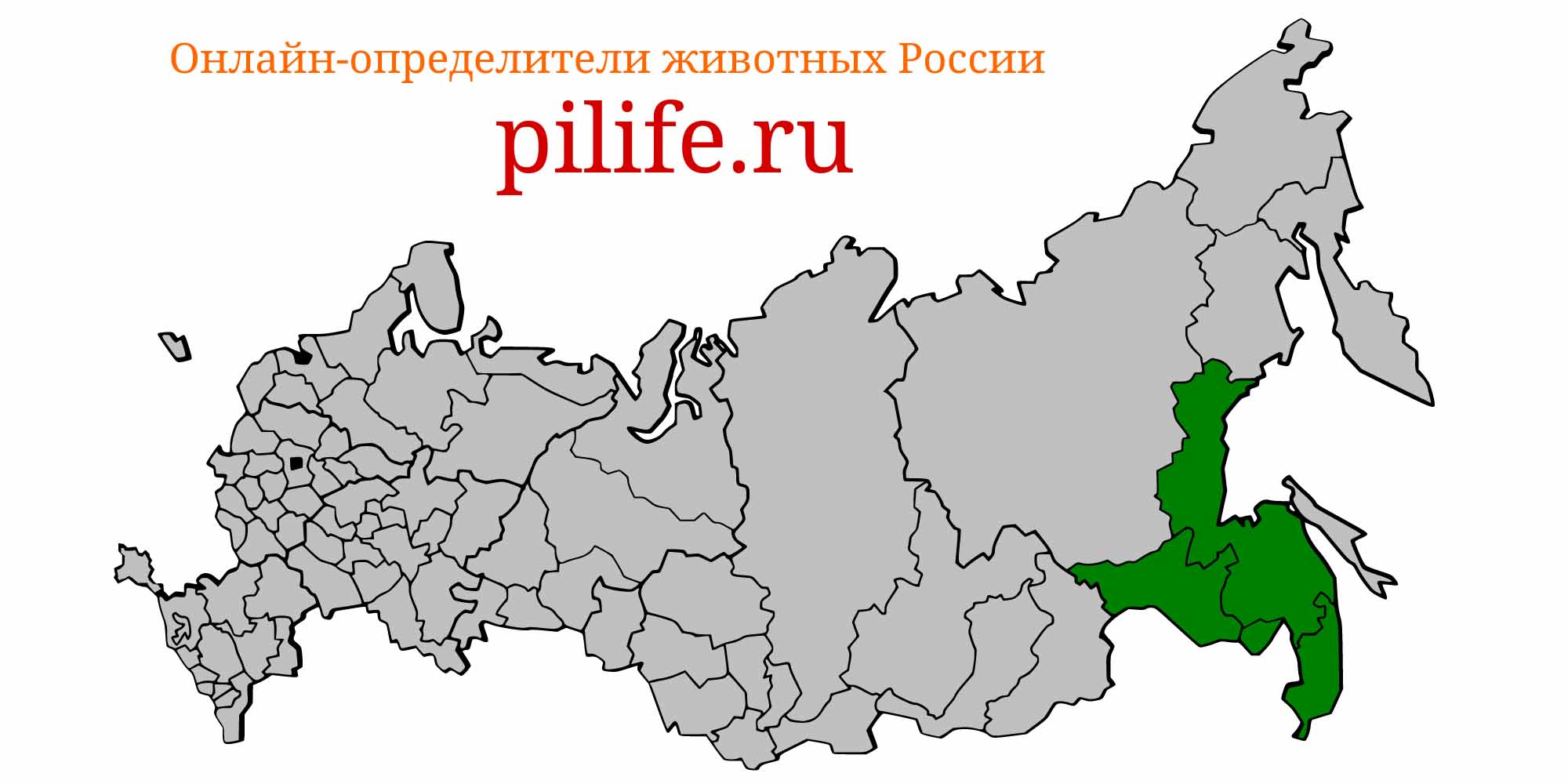 Ареал обитания Romanogobio tenuicorpus на карте России