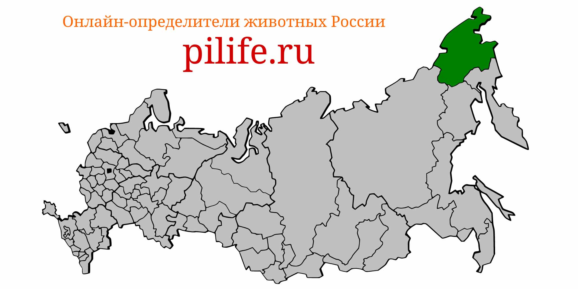 Ареал обитания Salvelinus elgyticus на карте России