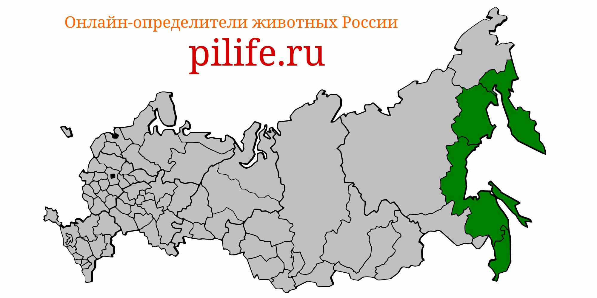 Ареал обитания Salvelinus leucomaenis на карте России