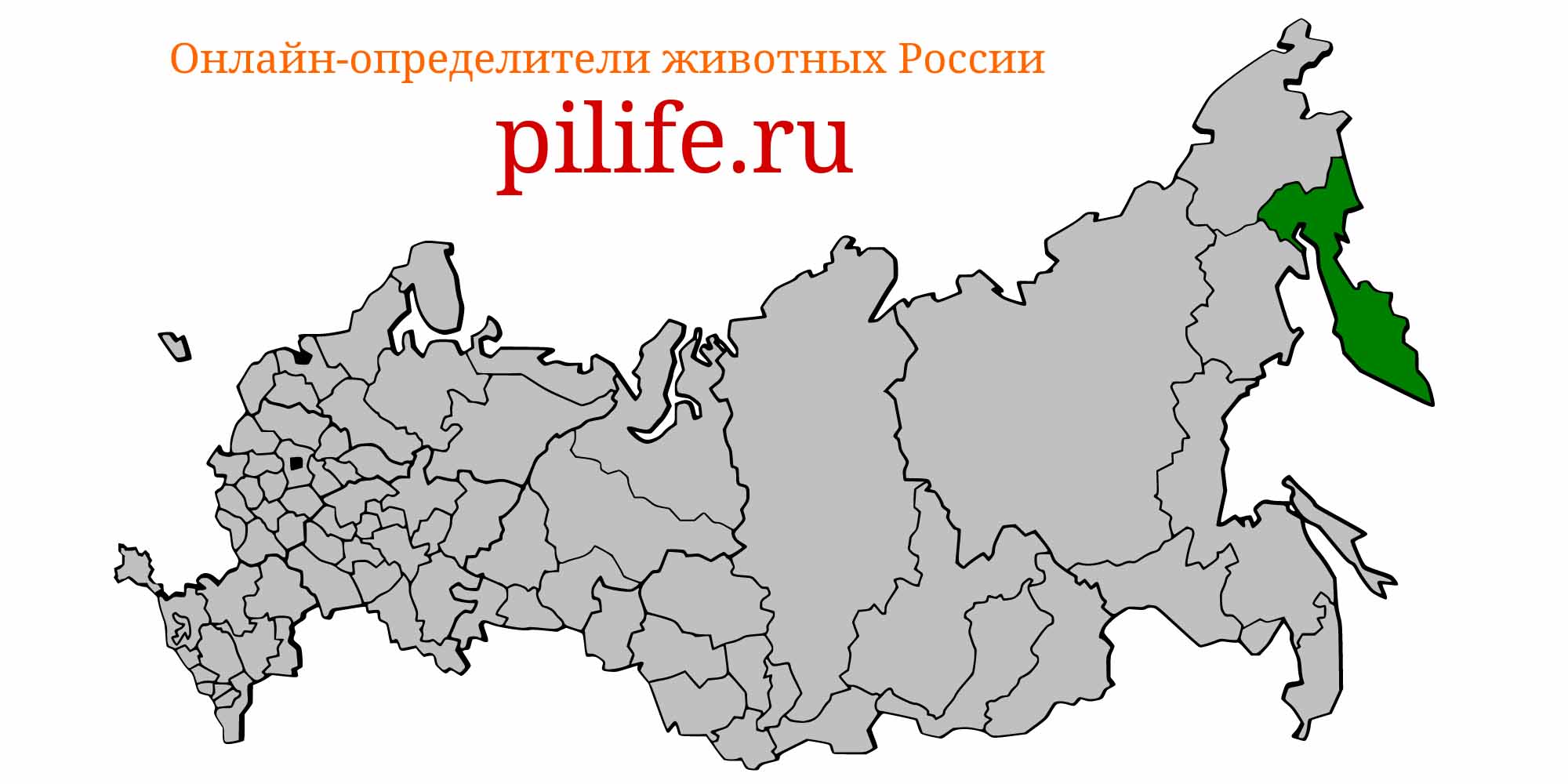 Ареал обитания Salvelinus schmidti на карте России