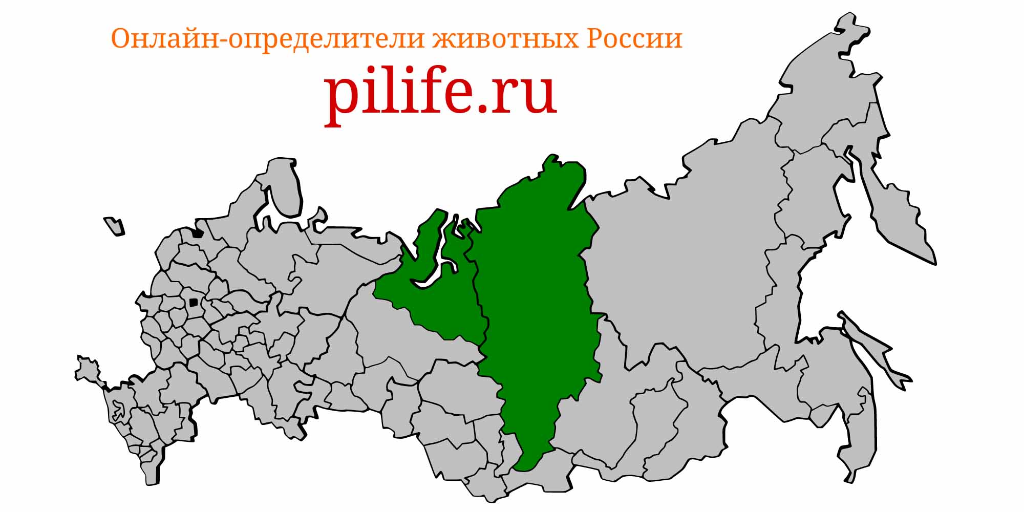 Ареал обитания Salvelinus tolmachoffi на карте России