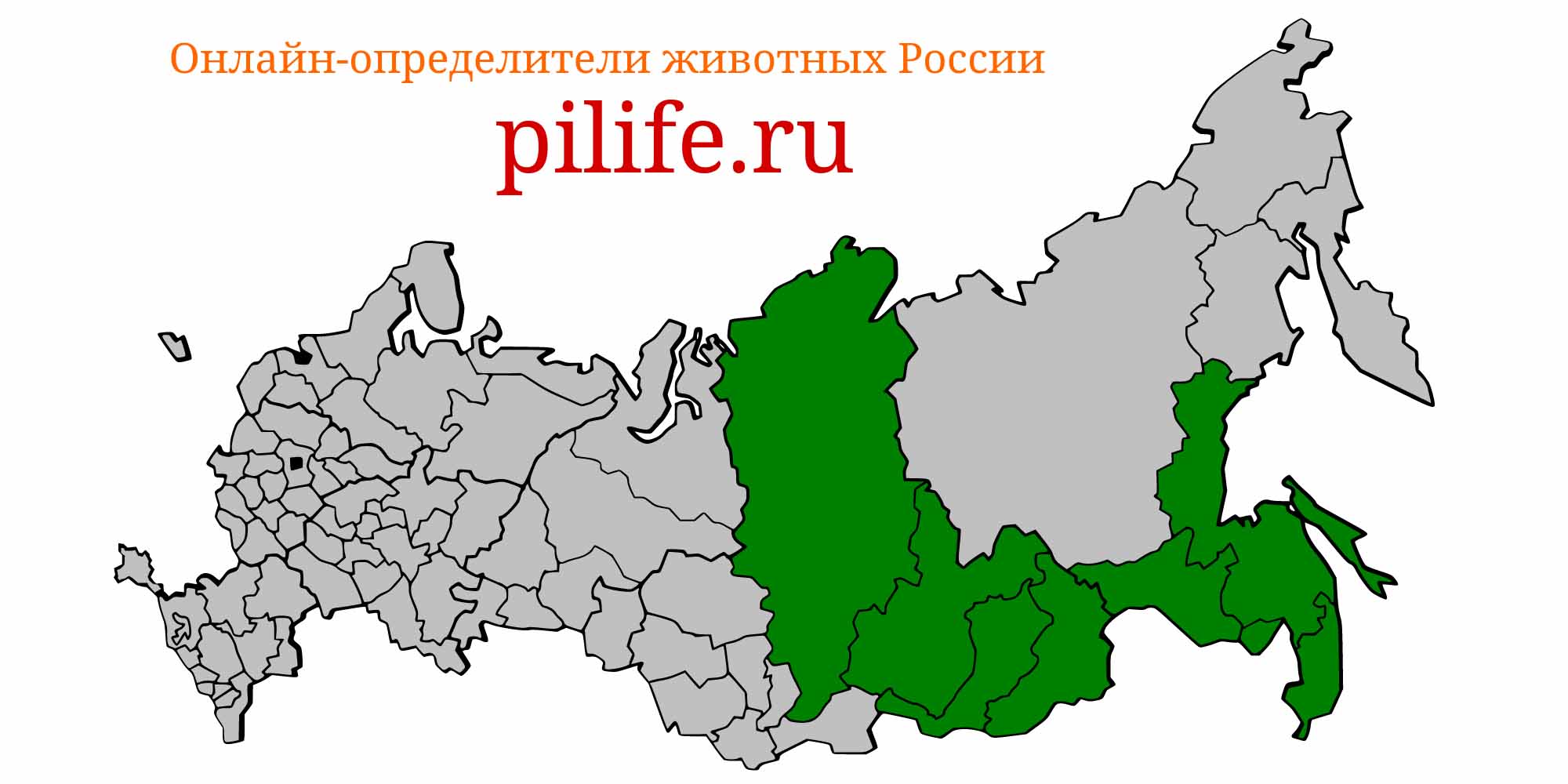 Ареал обитания Silurus asotus на карте России